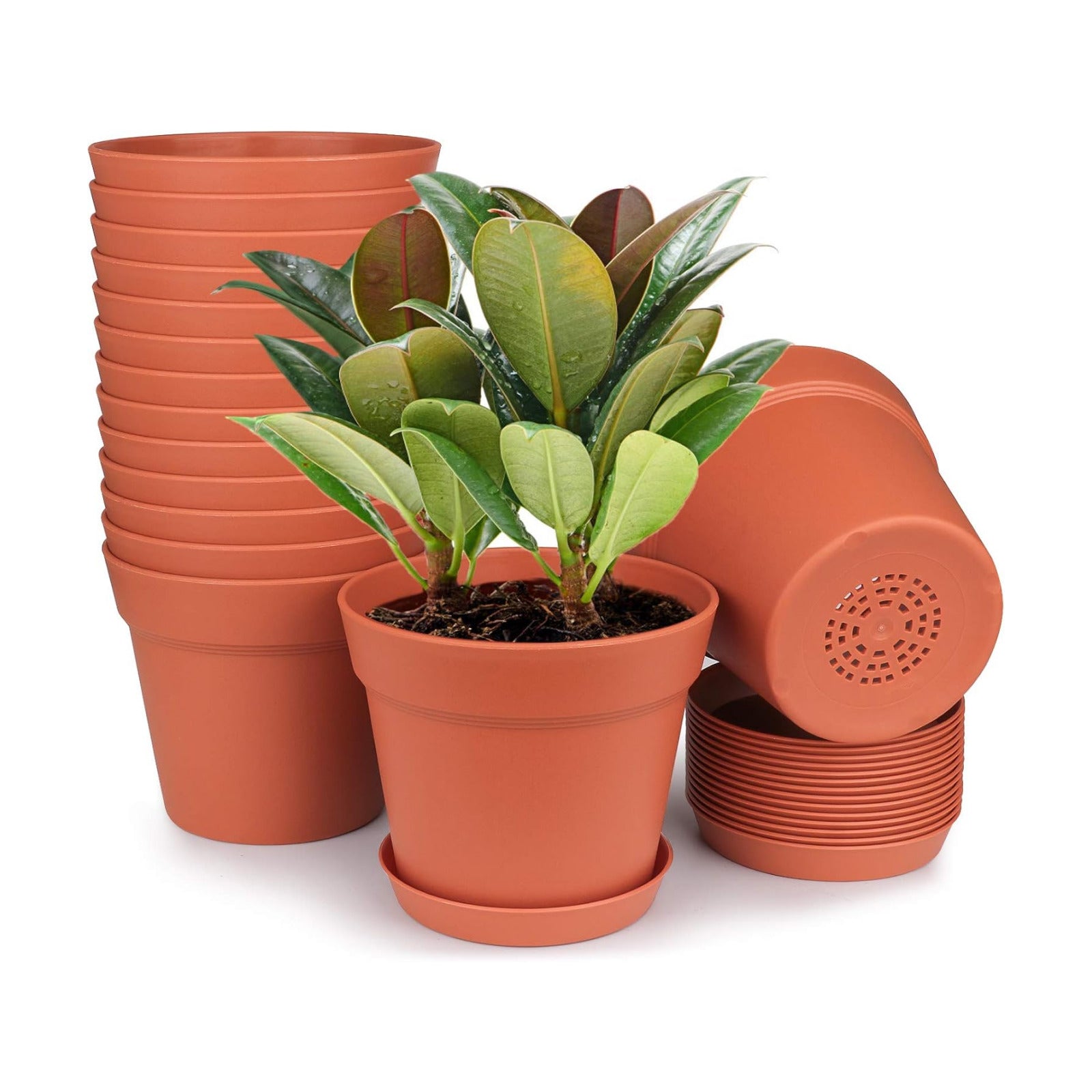 6 Inch Plastic Flower Pots with Drainage Holes and Trays (15 Pcs) | Matte terracotta finish suits orchids, snake