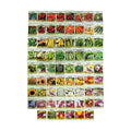 Black Duck Brand Set of 70 Veggie and Flower Seed Packets Several Varieties Including Forget Me Not!