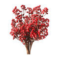 Fangoo Christmas Artificial Long Snow Red Berry Stems, 6 PCS, 19.7 Inch