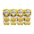Buzzy Seeds Save the Bees Grow Kit 12-Pack - Eco-Friendly Pots - Complete Indoor/Outdoor Gardening Kit with Seeds