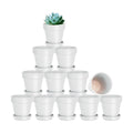 3 Inch White Terracotta & Clay Pots with Saucer, 12 Pack | Clay Flowerpot with Drainage, Nursery pot for succulents
