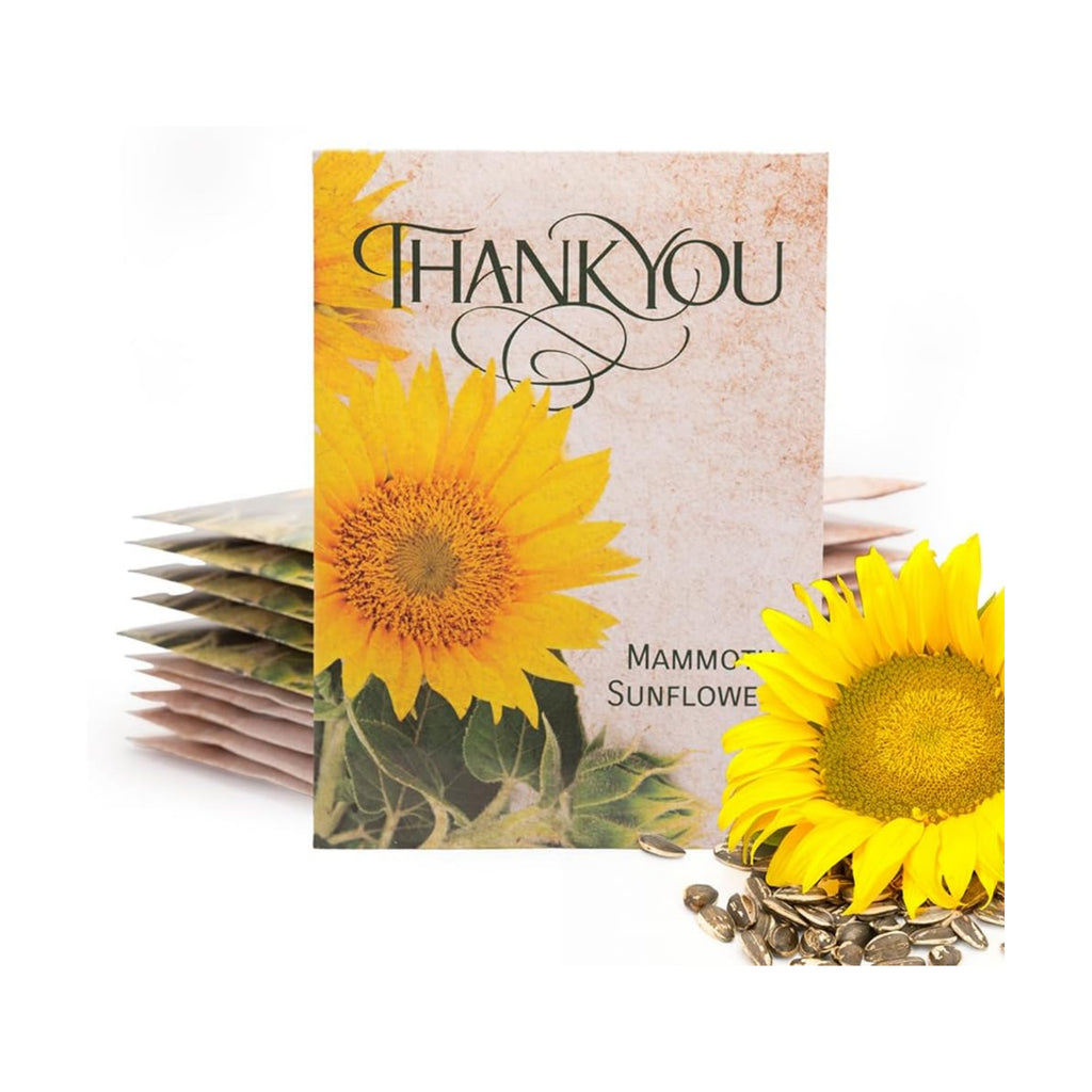 Bentley Thank You Packet - Sunflower Seeds - Pack of 25 - Perfect Eco-Friendly Thank You Gift - Non GMO