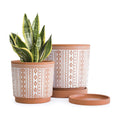 D'vine Dev Set of 2 Terracotta Pots, 6.5 Inch & 8.2 Inch, Planter Pots for Plants with Drainage Holes and Saucers