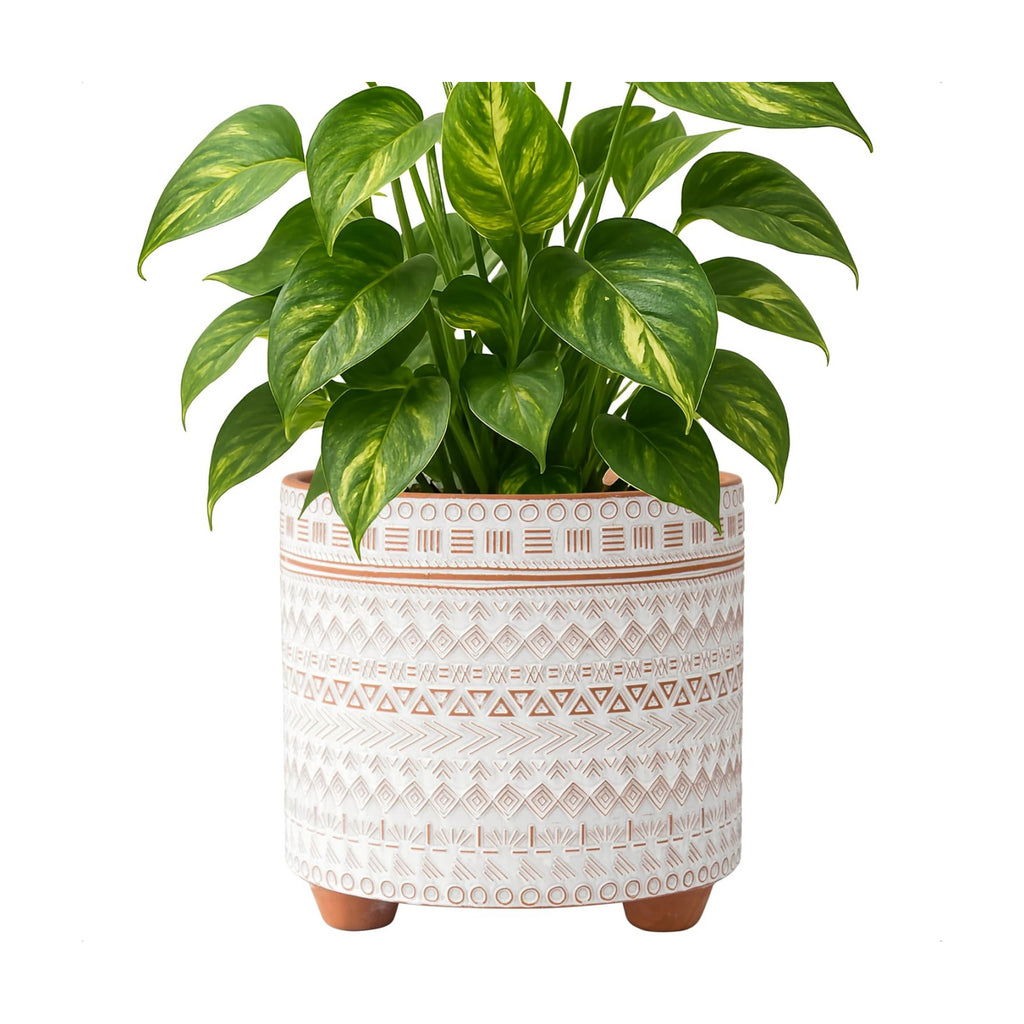 D'vine Dev 8 Inch Terracotta Planter with Drainage, Saharan Script, 33-953-D-1
