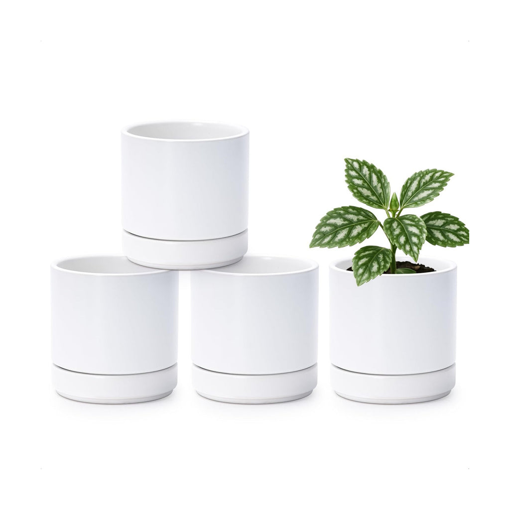 D'vine Dev 4-Pack Ceramic Pots with Saucers, White, 4.7 in, 94-X-B-1 | Glazed Ceramic, Drainage Hole and Saucer, Sleek