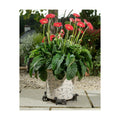 Potty Feet Dachshund Figures Plant Pot Feet Planter Riser - Pot Support Feet - Handmade Yard Art Ornaments - 3pcs
