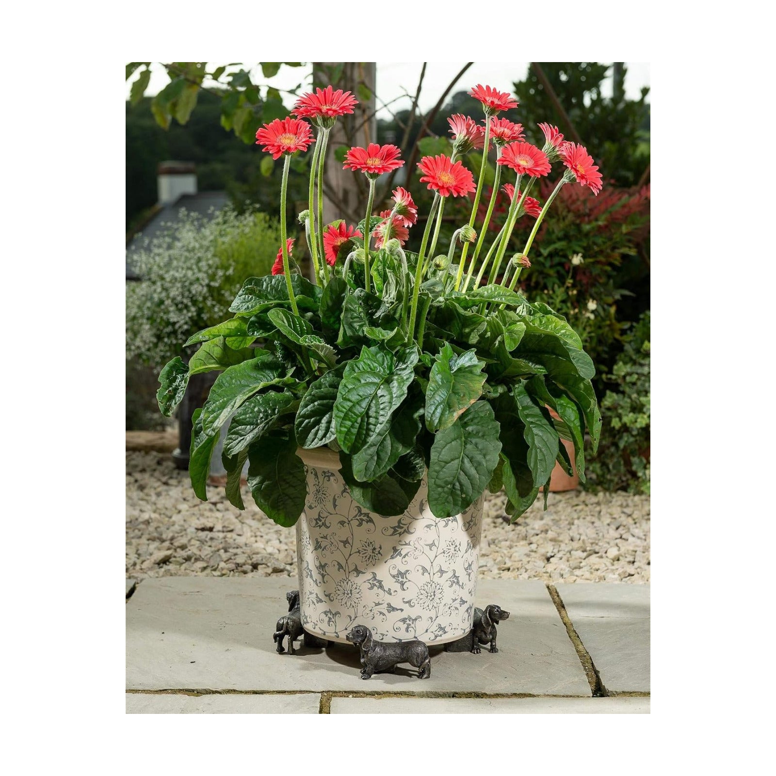 Potty Feet Dachshund Figures Plant Pot Feet Planter Riser - Pot Support Feet - Handmade Yard Art Ornaments - 3pcs