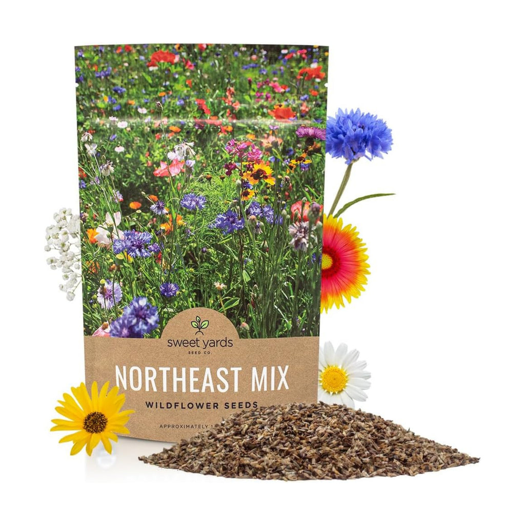 Northeast Wildflower Seed Regional Mixes - Bulk 1/4 Pound Bag - Over 30,000 Native Seeds - Open Pollinated and Non GMO