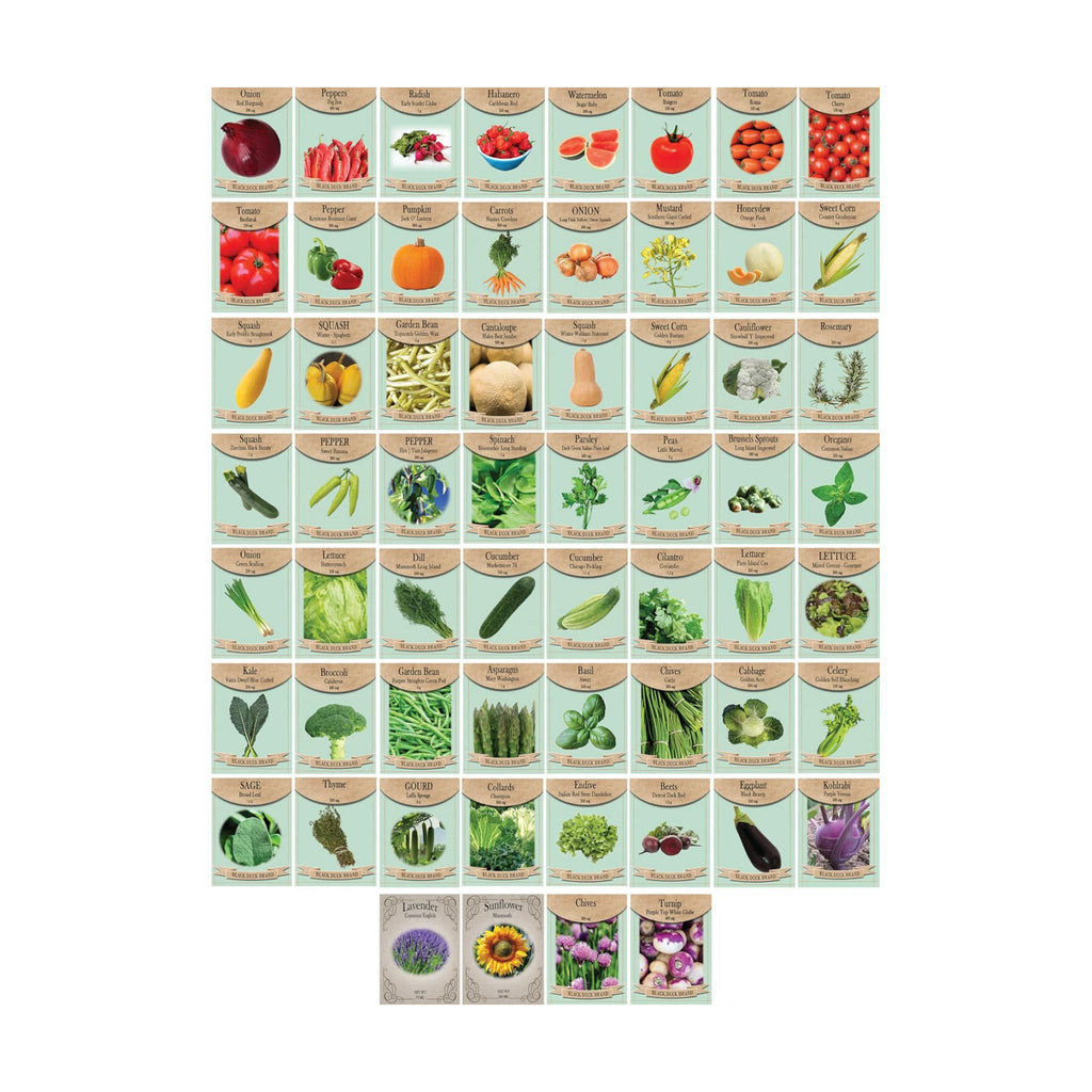 Set of 60 Premium Variety Herbs and Vegetables - Deluxe Garden Choices for Premium Gardening! (60 Premium Seeds)