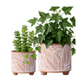 D'vine Dev 2-Pack Terracotta Pots, 4/6 in, Sahara Fern, 31-953-H-1 | Hand-Painted Details, Three-Legged Design, Natural