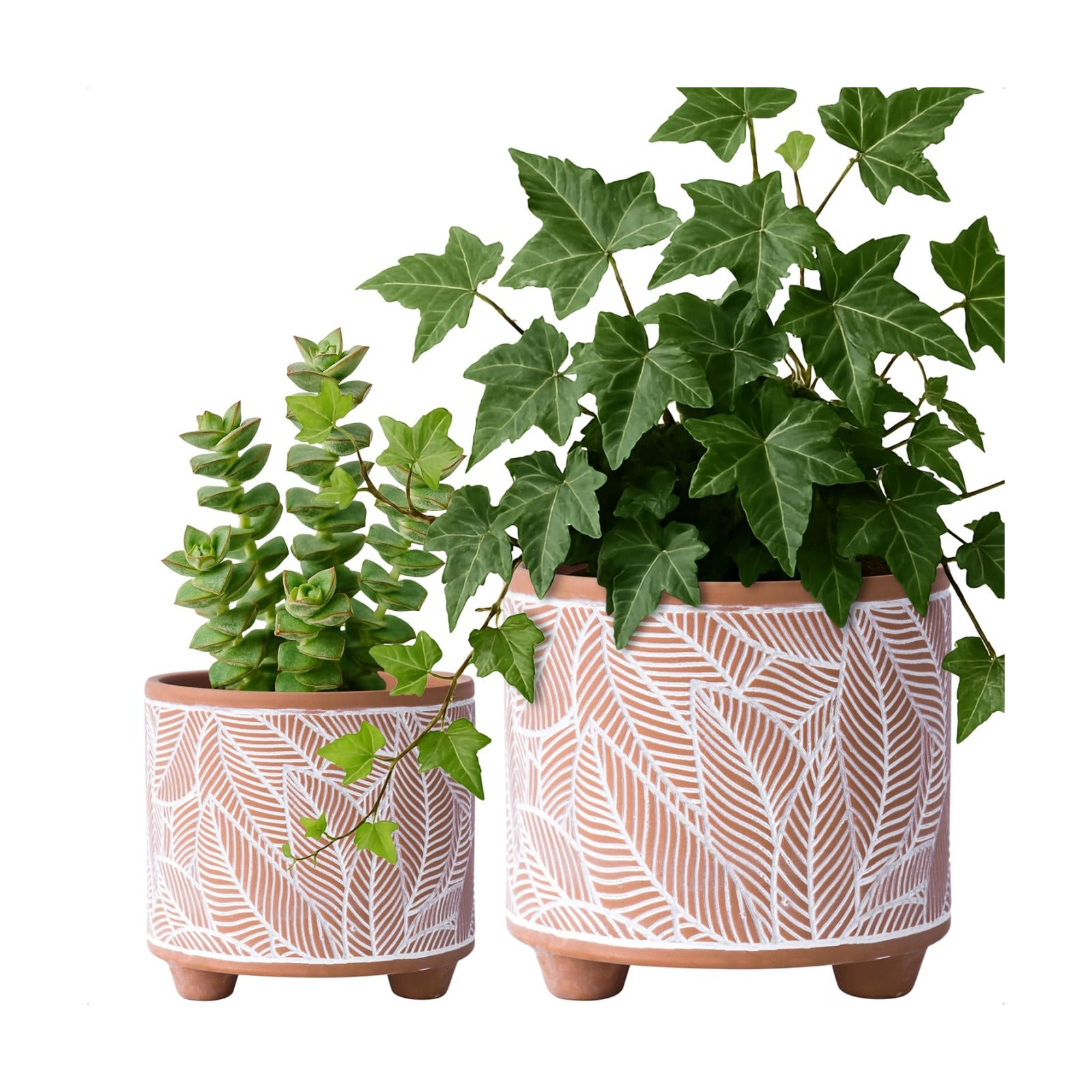D'vine Dev 2-Pack Terracotta Pots, 4/6 in, Sahara Fern, 31-953-H-1 | Hand-Painted Details, Three-Legged Design, Natural