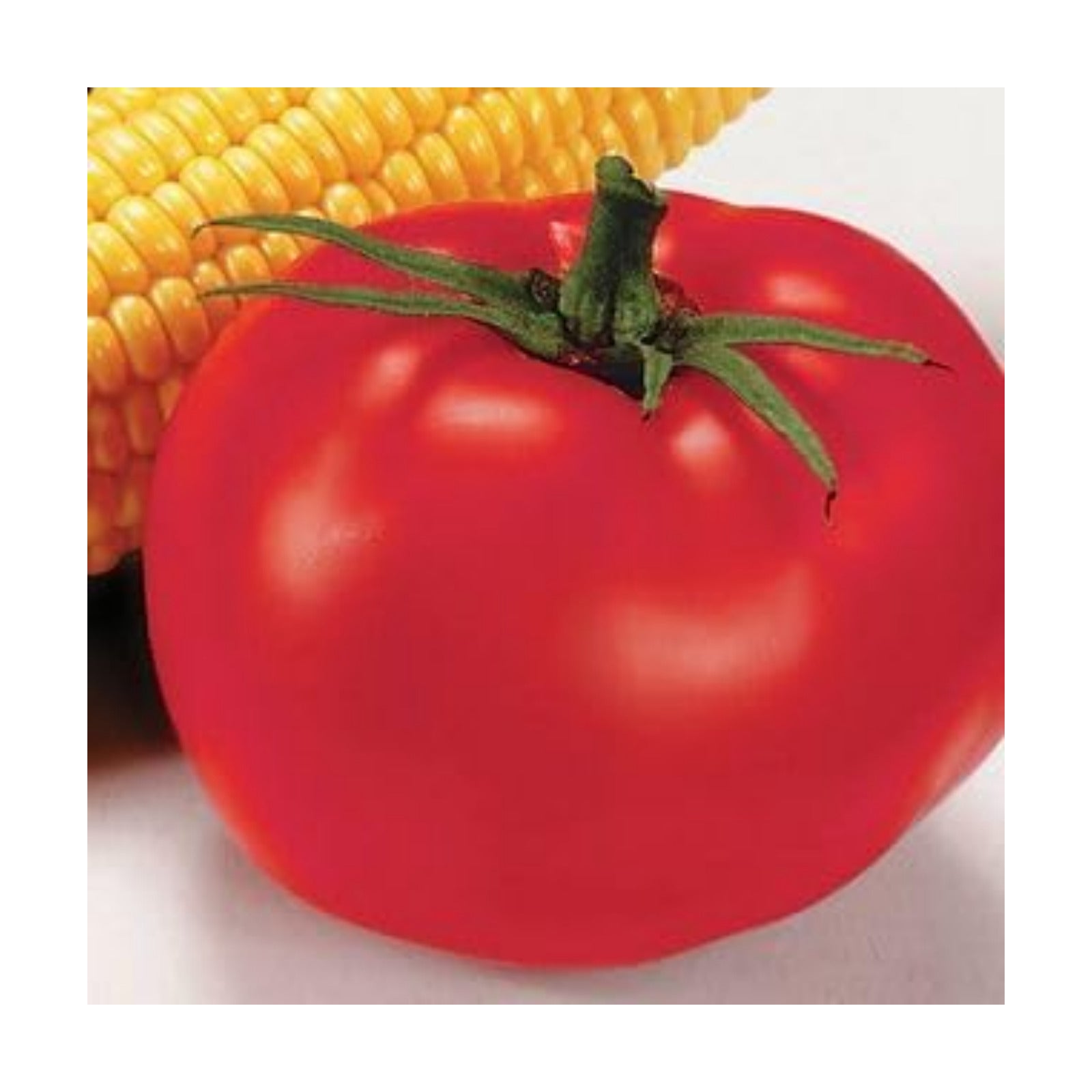 Park Seed Variety of Tomato Seeds, Planting Vegetables, Easy to Grow, Non-GMO, Perfect for Harvesting, Better Boy