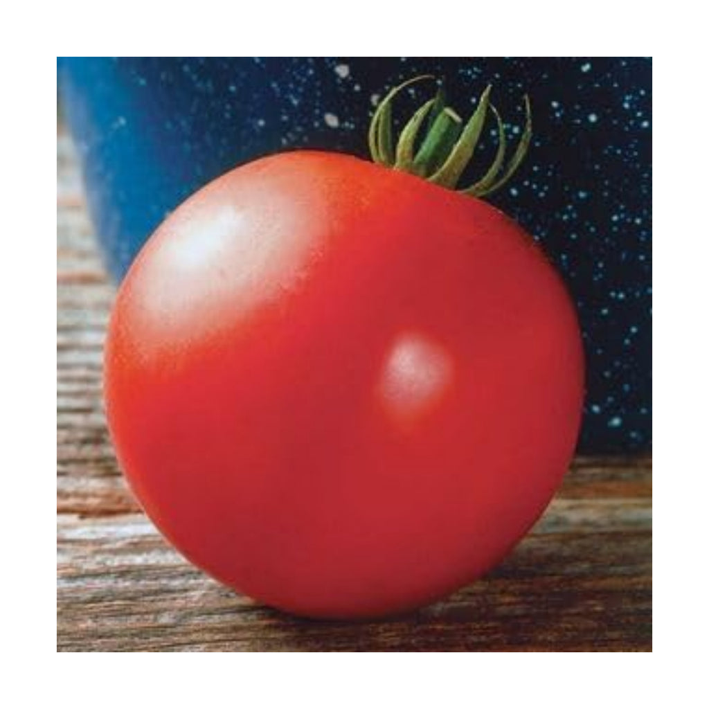 Park Seed Variety of Tomato Seeds, Planting Vegetables, Easy to Grow, Non-GMO, Perfect for Harvesting, Mountain Fresh