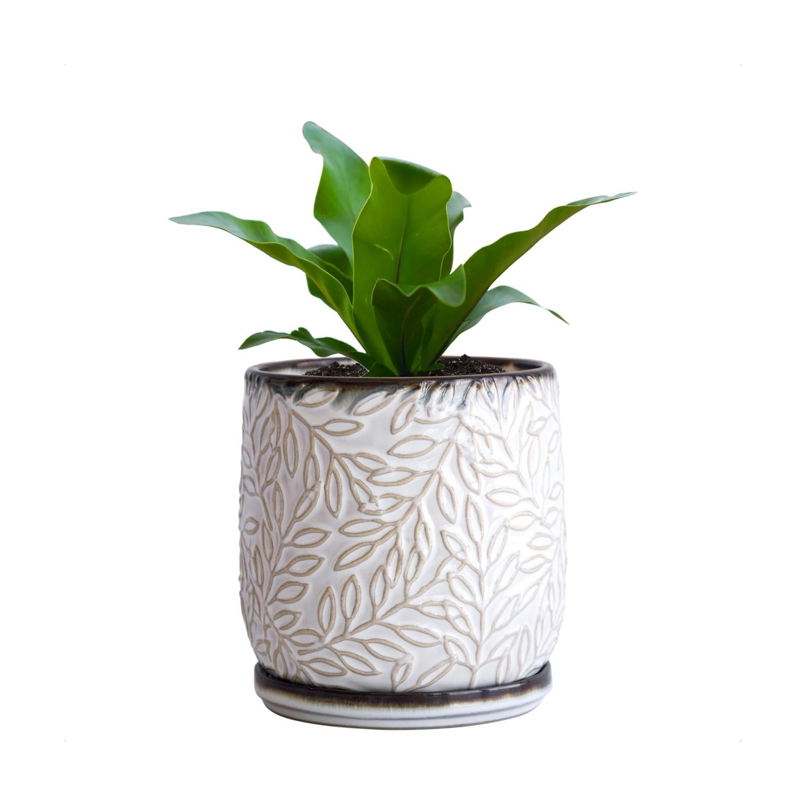 D'vine Dev Embossed Leaves Ceramic Planter, 5 in, Smoked White, 27-A-V-1 | Nature-Inspired Leaf Pattern, Handcrafted
