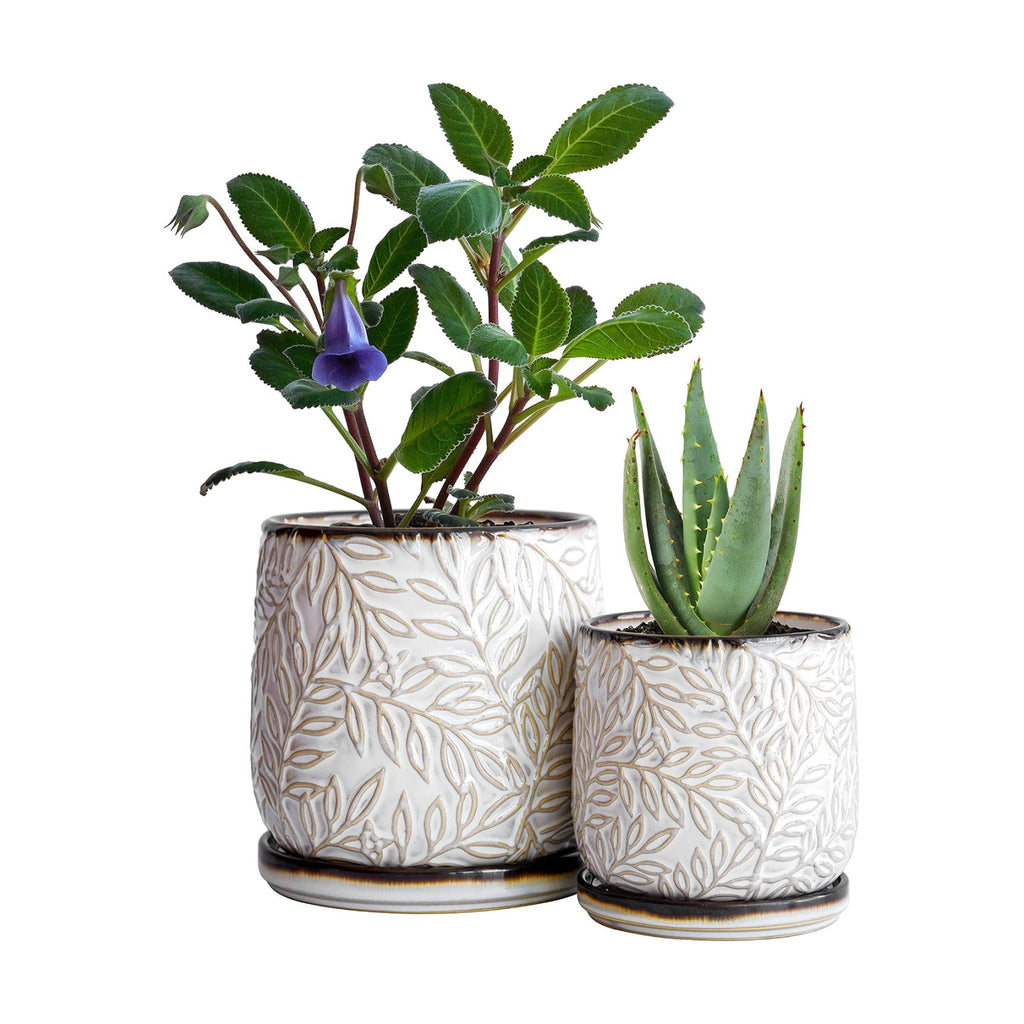 D'vine Dev 2-Pack Embossed Leaves Planter, 4/6 in, Smoked White, 27-B-U-1 | Nature-Inspired Leaf Pattern, Handcrafted