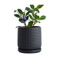 D'vine Dev Beaded Ceramic Pot with Saucer, 6 in, Ebony Matte, 27-C-X-6 | Embossed Dot Texture, Smooth Glazed Finish