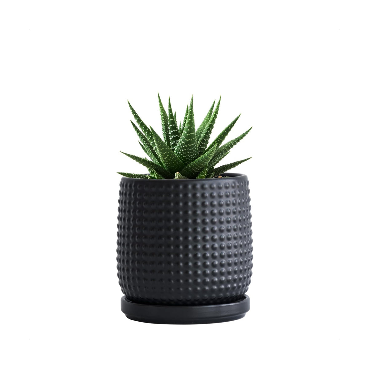 D'vine Dev Beaded Ceramic Pot with Saucer, 4 in, Ebony Matte, 27-C-Z-6