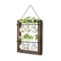 Mkono Plant Propagation Station, Wall Hanging 2-Layer Glass Terrarium Vases | Wood Stand Planter, Hydroponic Flower