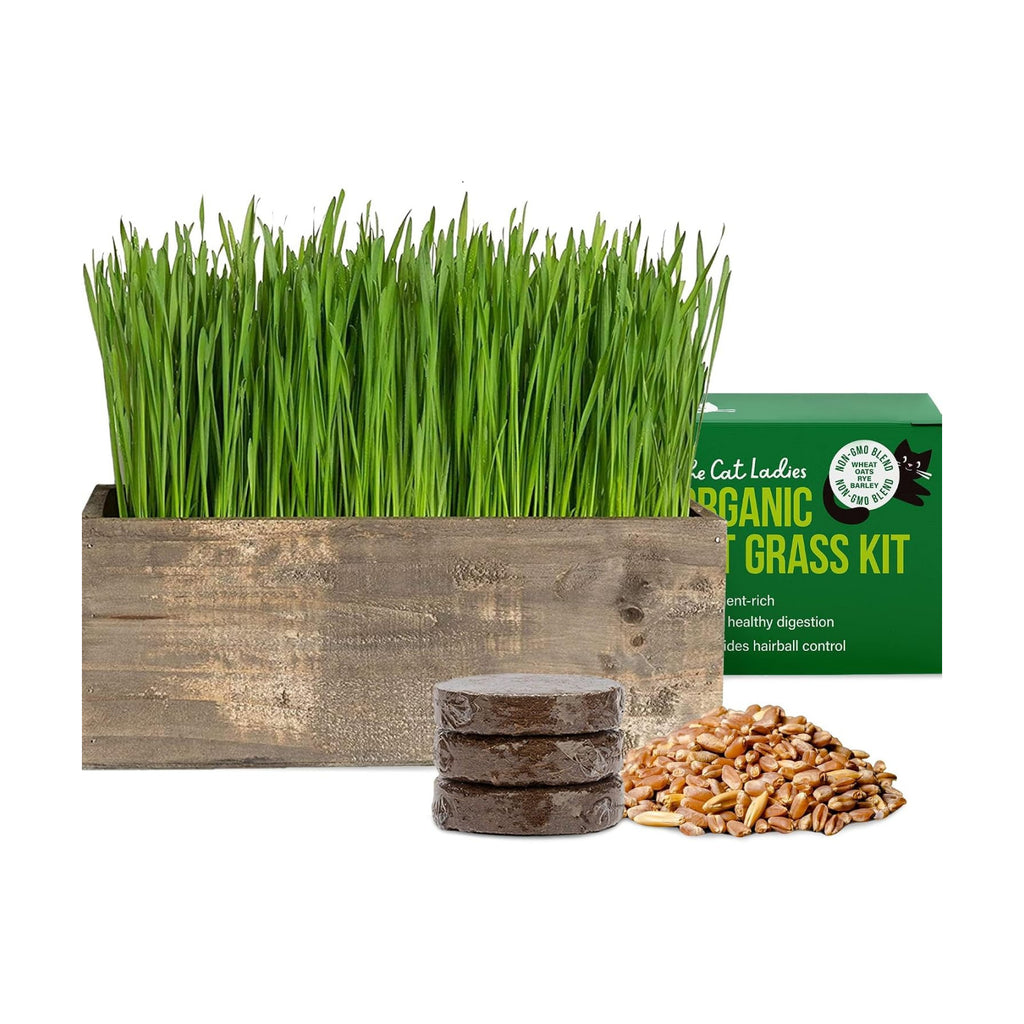 The Cat Ladies Cat Grass Kit Complete with Rustic Wood Planter, Organic Seed and Soil. Easy to Grow - Great for Indoor