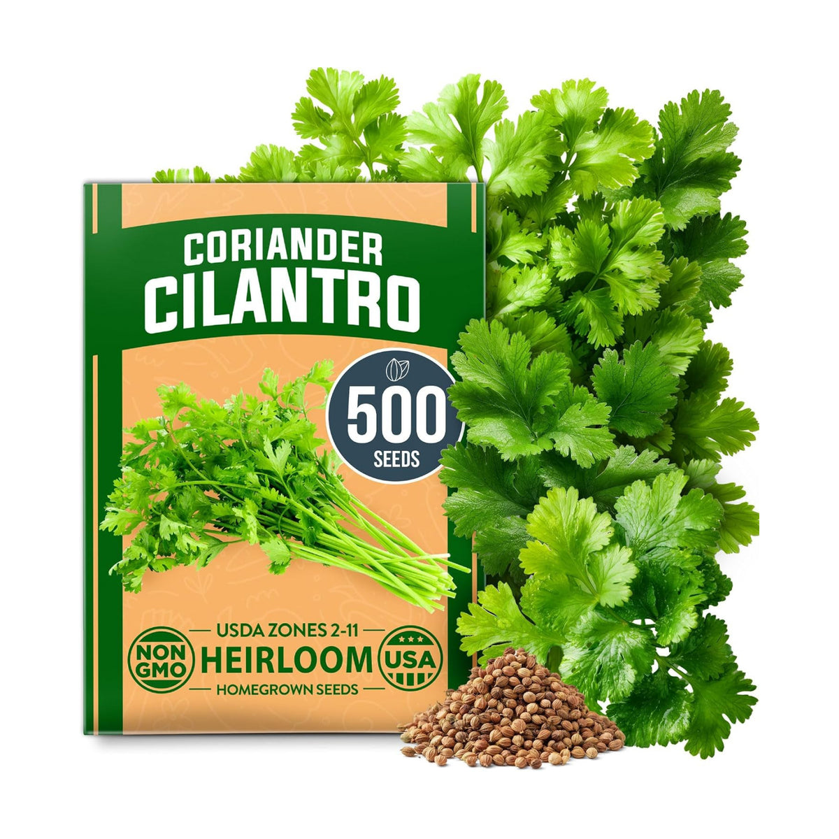 HOME GROWN Cilantro Coriander Seeds, 500+ Seeds