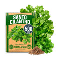 HOME GROWN Santo Cilantro Coriander Seeds, 500+ Seeds