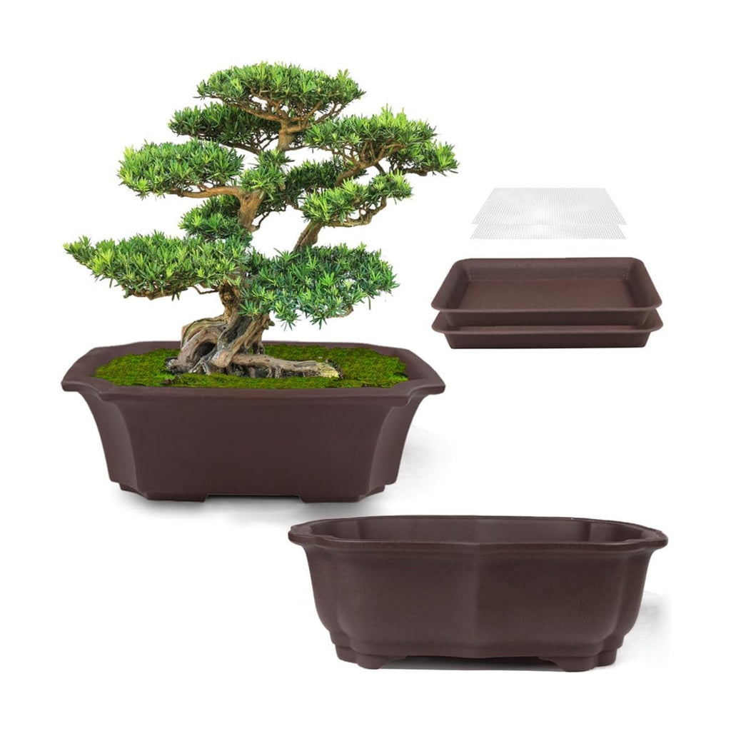 MUZHI 2 Pack 8" Unglazed Ceramic Bonsai Tree Pot Training Planter with Drainage Wiring Hole, Breathable Handmade Zisha