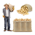 4Pcs 19.5"x35" Breathable Natural Burlap Bags with Rope for Potato Storage | Reusable, Thickened Jute Food Storage