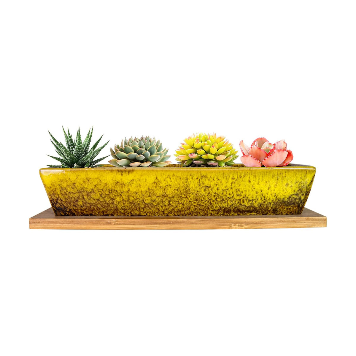 ARTKETTY Succulent Pots, 9.8 Inch Ceramic Succulent Planters with Drainage