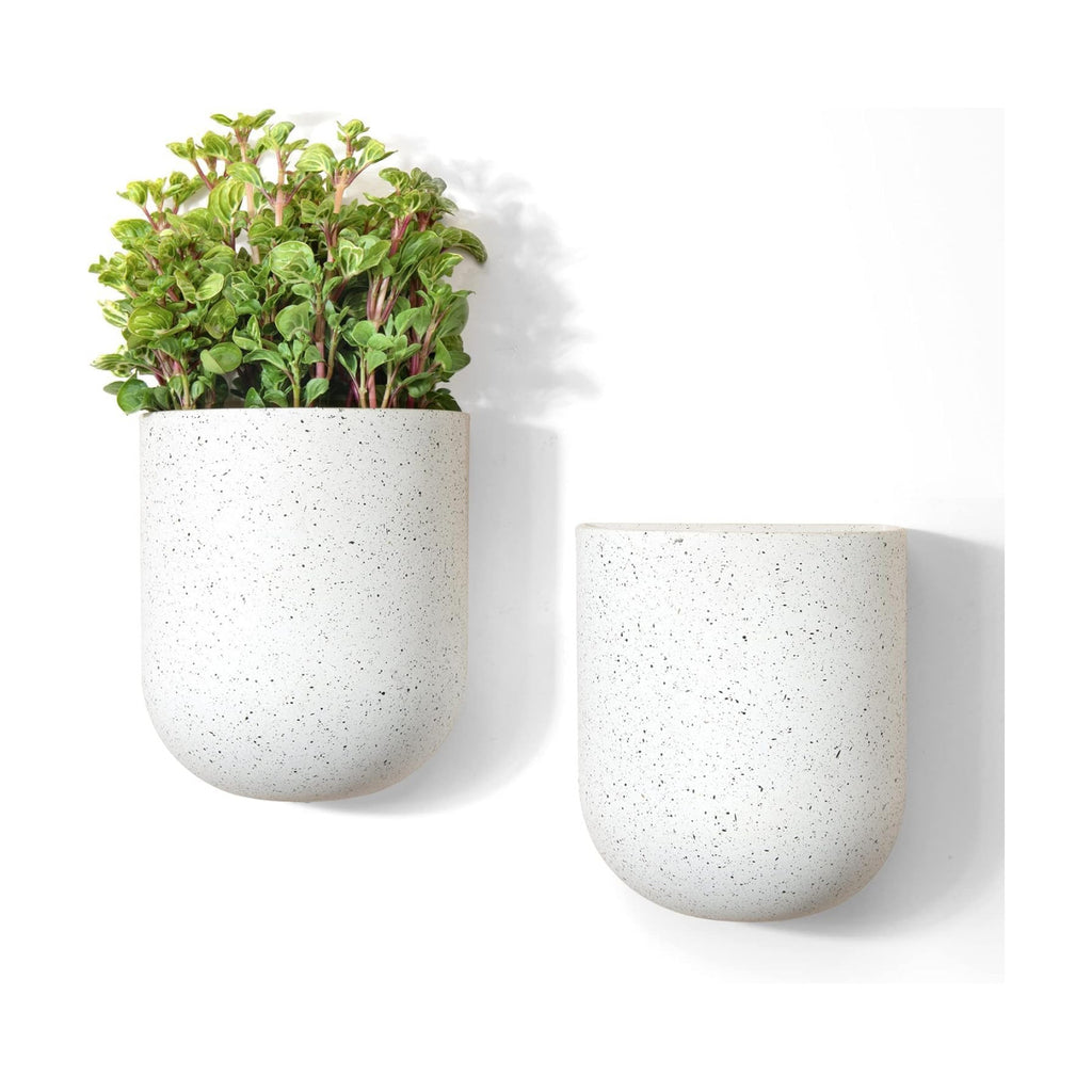 LA Jolie Muse Wall Hanging Planters for Indoor Plants，Hanging Flower Pots for Air Plants Succulent, Set of 2