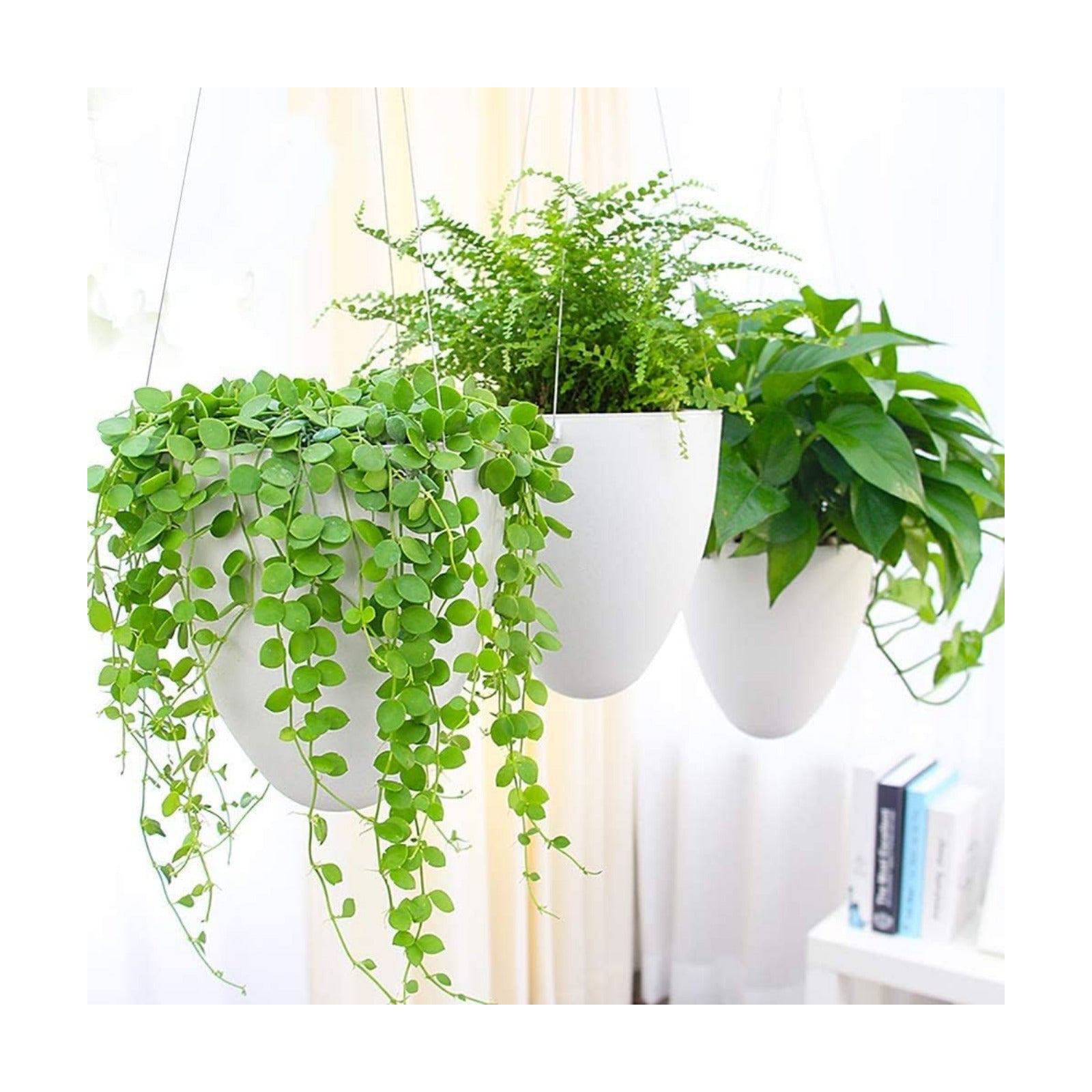 Sungmor 3 Pack Plastic Self Watering Hanging Planters - Eggshell Shape | Indoor Outdoor Hanging Pots for Plants, Modern