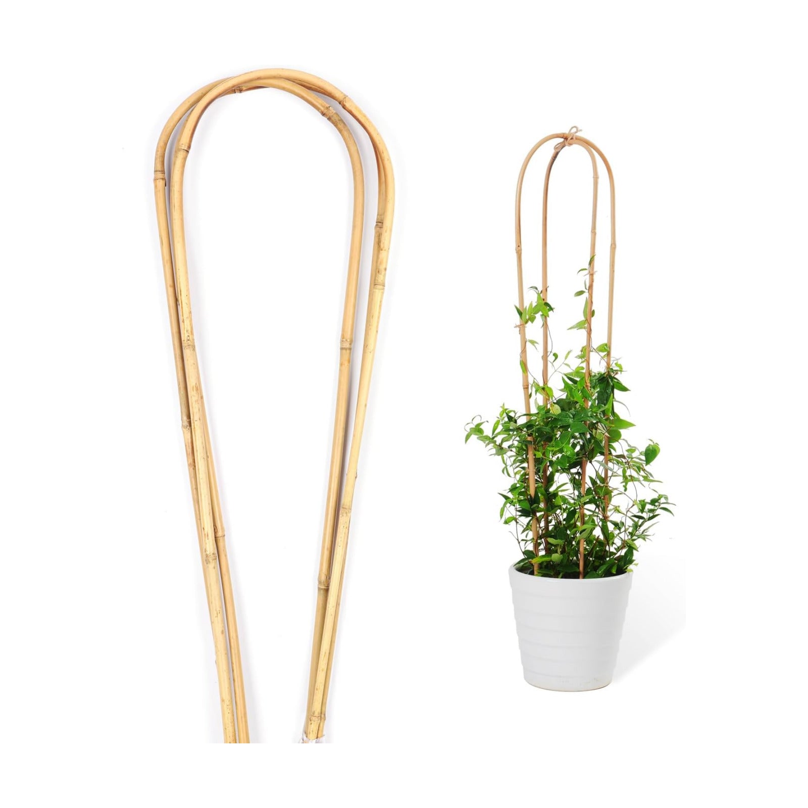 Cambaverd Bamboo Trellis 4 Feet, 3 Pack Arch Plant Trellis Indoor Outdoor | Natural Large Garden Trellis for Climbing