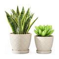 Docrin Ceramic Plant Pots Indoor, 6.6 + 5.5 Inch Planters with Drainage Holes and Saucer for Home/Office - Set of 2