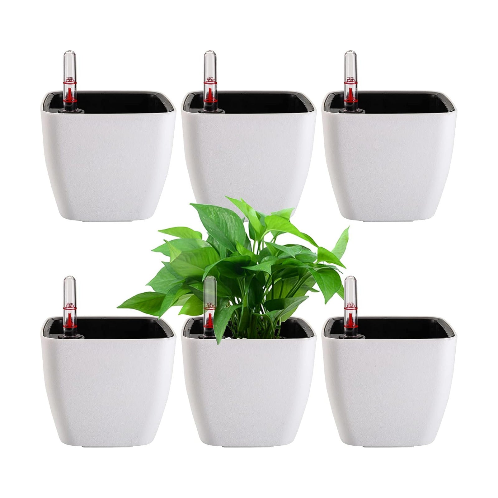 6 Pack Self Watering Planter with Water Level Indicator, 5 Inch Plastic Plant Flower Pots Nested Container for Indoor