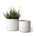La Jolie Muse Ceramic Planter - 6.7+5.5 Inch Concave Dot Patterned Cylinder Flower Pot W/Drain Hole for Indoor, Set of