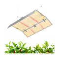 Barrina 4x4 Grow Light Panel, Full Spectrum, Dimmable, 200W, 1 Pack | Plug and Play, Adjustable, Barrina LED Plant