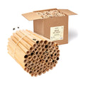 Rivajam 125 Phragmite Reed Mason Bee Tubes | Refill for Bee House, Hotel Nest Box, Solitary Hive & Pollinator Box