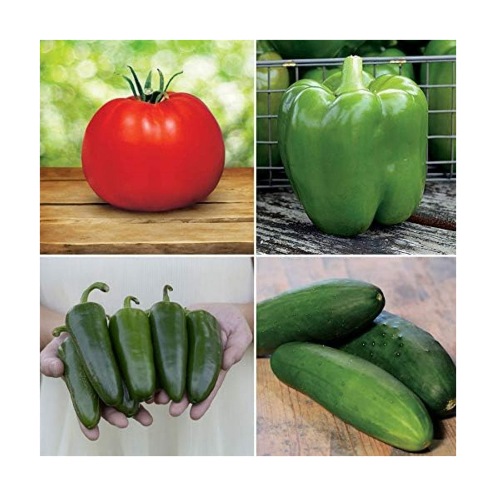 Park Seed Whopper Collection – High-Yield Tomato, Bell Pepper, Jalapeño & Cucumber Seed Set, Crisp, Flavorful &