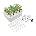 NATGAI Hydroponic System Growing Kit with Air Pump 12 Holes Soilless | Cultivation Grow Box Garden Cabinet Box for