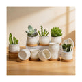 ZOUTOG 12 Pack Succulent Pots, 2.6 Inch Mini Ceramic Pots for Flower or Cactus Plants with Drainage Hole,Plants Not