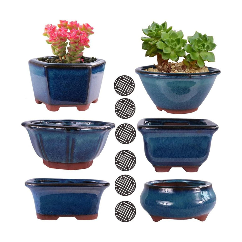 MUZHI 6PACK Glazed Bonsai Pot Planter 3" 4” Small Succulent Pots, Yixing Zisha Decorative Mame Bonsai Training Pot or
