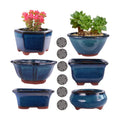 MUZHI 6PACK Glazed Bonsai Pot Planter 3" 4” Small Succulent Pots, Yixing Zisha Decorative Mame Bonsai Training Pot or
