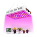 LED Grow Lights, 1000 Watt LED Full Spectrum Sunlike Growing Lamp for Indoor Plant with Daisy Chain