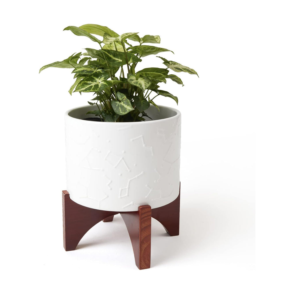 LA JOLIE MUSE Ceramic Pot for Plants, 8 Inch Indoor Planter with Stand | Decorative Plant Pot with Wood Stand and