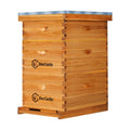 BeeCastle 10 Frame Langstroth Bee Hive Coated with Beeswax Includes Beehive Frames and Waxed Foundations (2 Deep Boxes