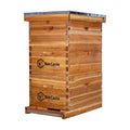 BeeCastle 8 Frame Langstroth Bee Hive Coated with Beeswax Includes Beehive Frames and Waxed Foundations (2 Deep Boxes &