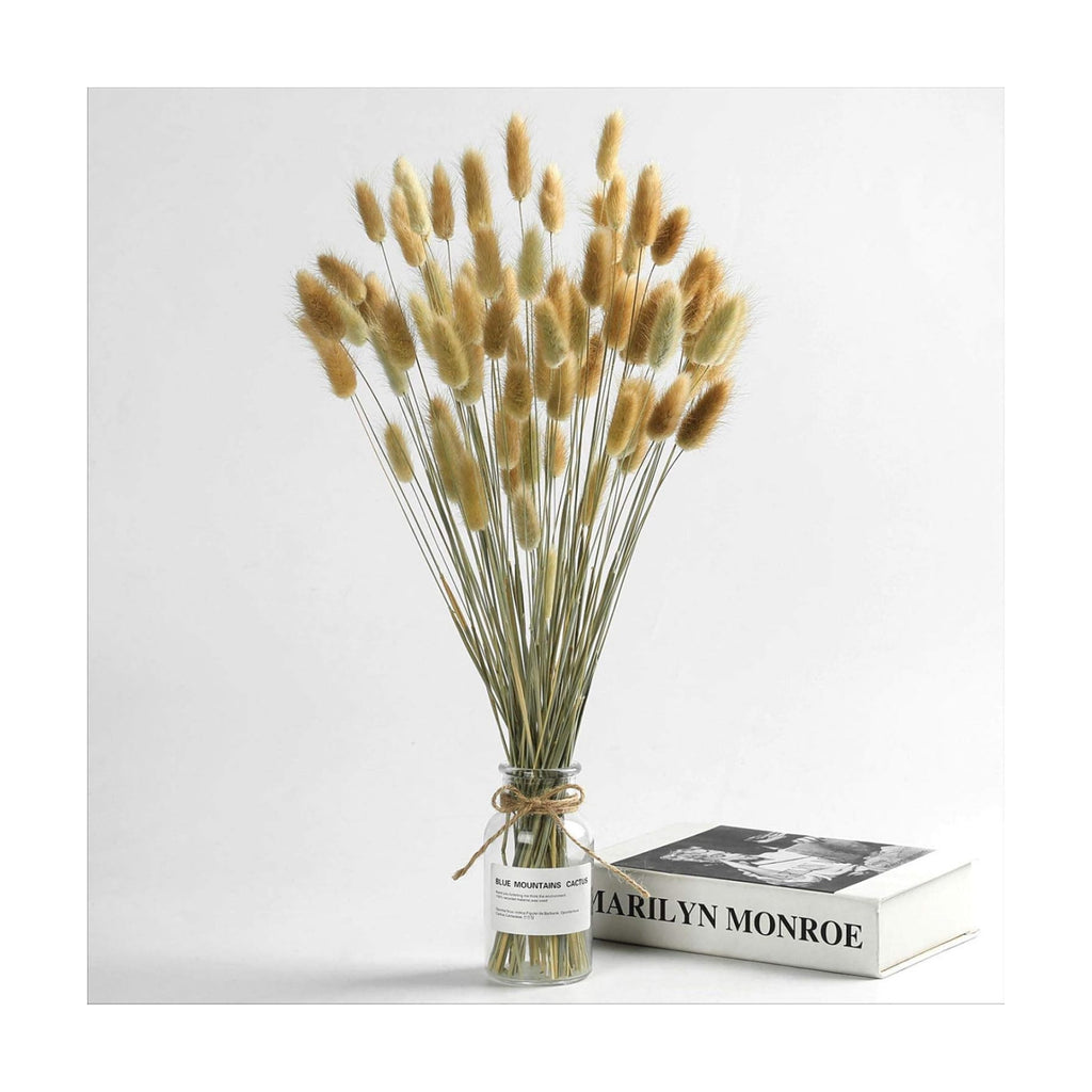 Natural Dried Bunny Tail Grass - 110~120 Stems Lagurus Ovatus for Boho Decor, Dried Pampas Grass Flower Arrangements Wedding Home Kitchen Office Decor