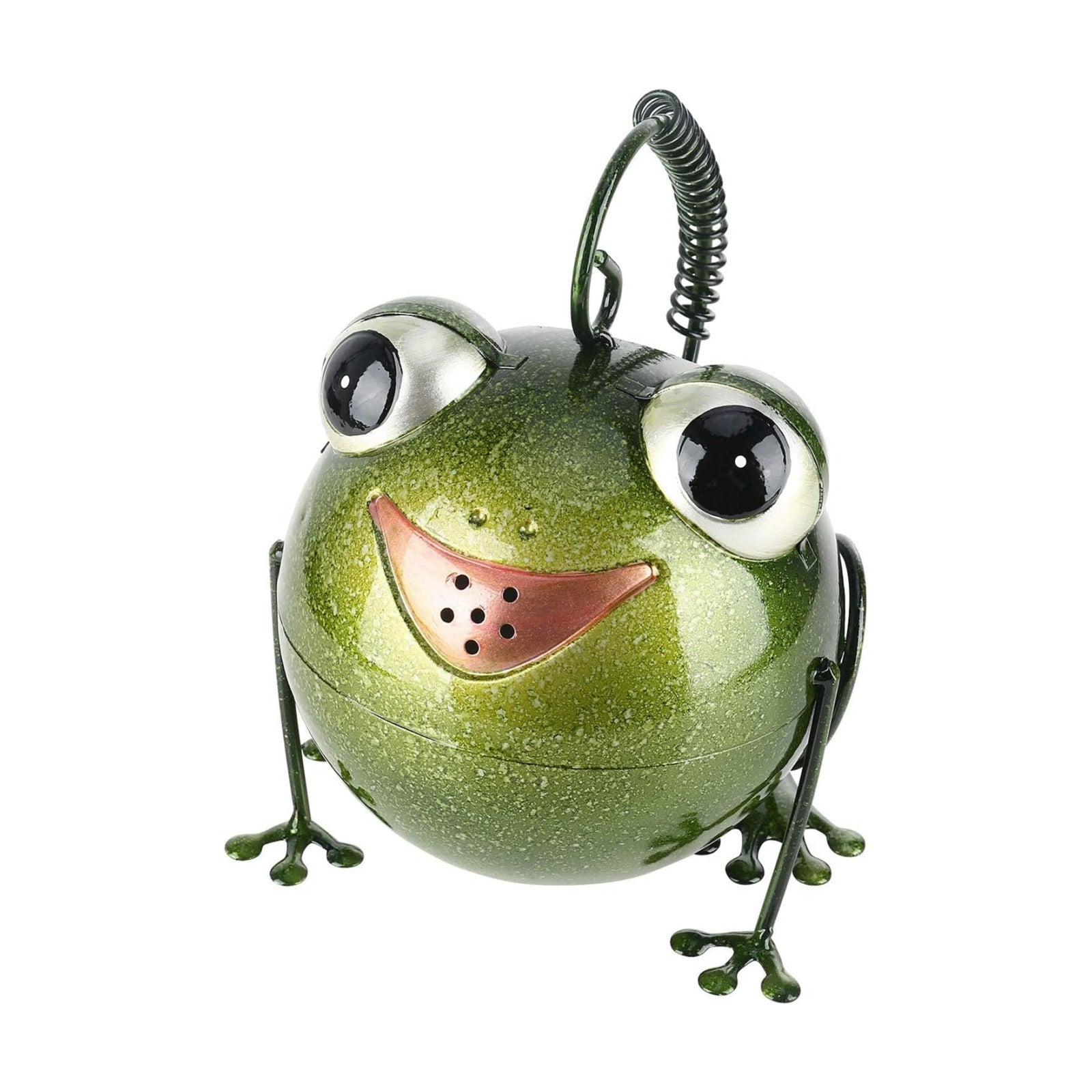 Frog Watering Can for Outdoor Indoor House Bonsai Plants Flower Sprinkling Pot Yard Lawn Garden Decor