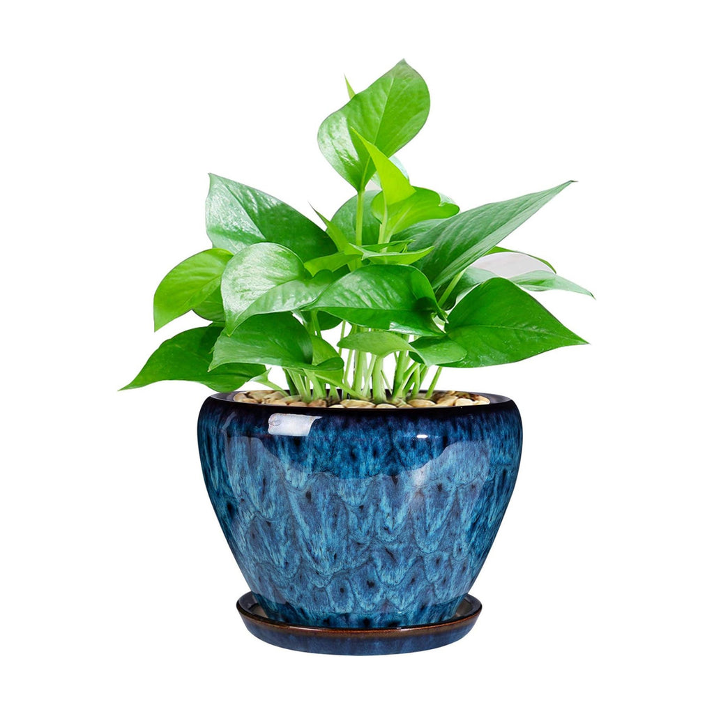 Ceramic Modern Glaze Succulent Planter Pot with Drainage Hole and Saucer 6 Inch Round Flower Plant Pot for Indoor Outdoor Herb Snake Plants