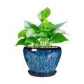 Ceramic Modern Glaze Succulent Planter Pot with Drainage Hole and Saucer 6 Inch Round Flower Plant Pot for Indoor Outdoor Herb Snake Plants