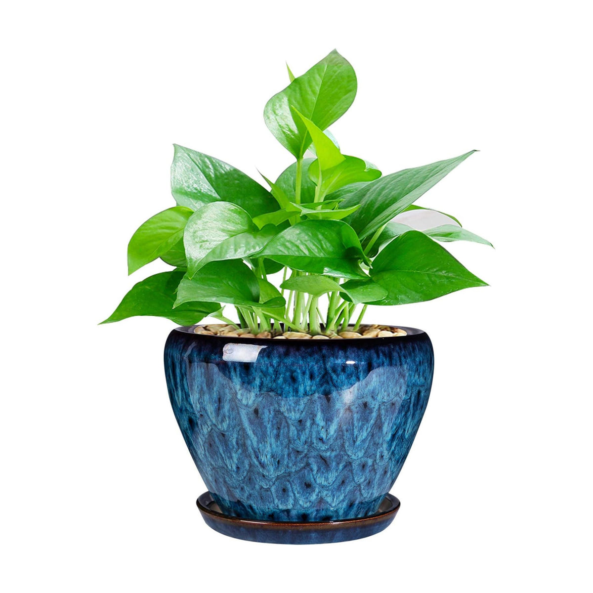 Ceramic Modern Glaze Succulent Planter Pot with Drainage Hole and Saucer 6 Inch Round Flower Plant Pot for Indoor Outdoor Herb Snake Plants